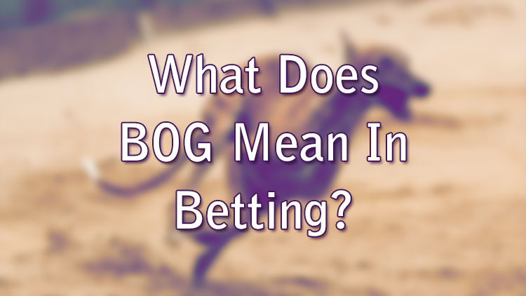 What Does BOG Mean In Betting?