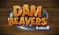 Dam Beavers