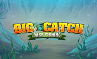 Big Catch Bass Fishing