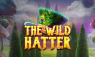 Wild Hatter