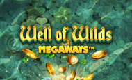 Well Of Wilds Megaways