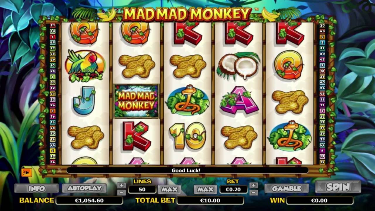 Madmonkey Games Madmonkey Games