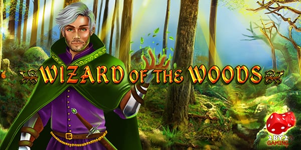 Wizard of The Woods Slot Wizard Slots