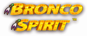 Bronco Spirit Slot Banner