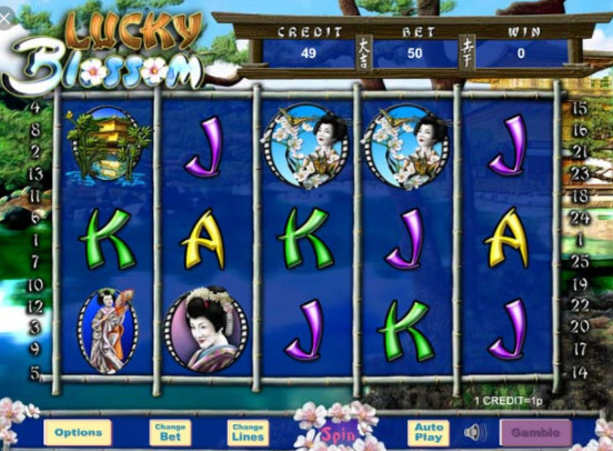 Lucky Blossom Slots gameplay