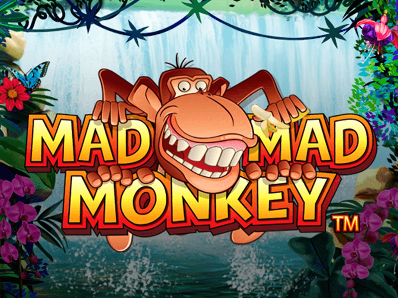 Crazy Monkey Slots Online Crazy Monkey Slots Online