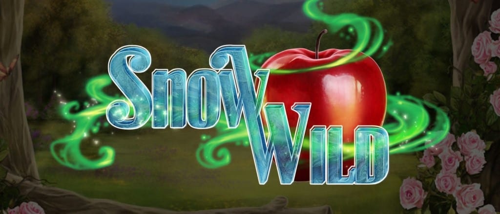 Snow Wild Slot Wizard Slots