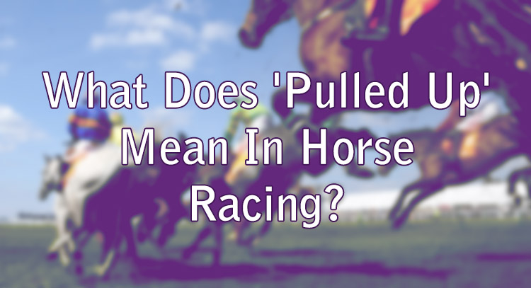 What Does 'Pulled Up' Mean In Horse Racing?