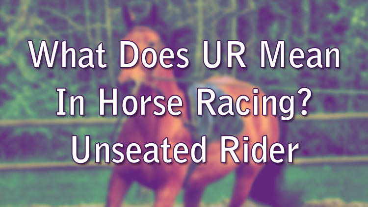What Does UR Mean In Horse Racing? Unseated Rider