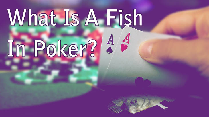 What Is A Fish In Poker?