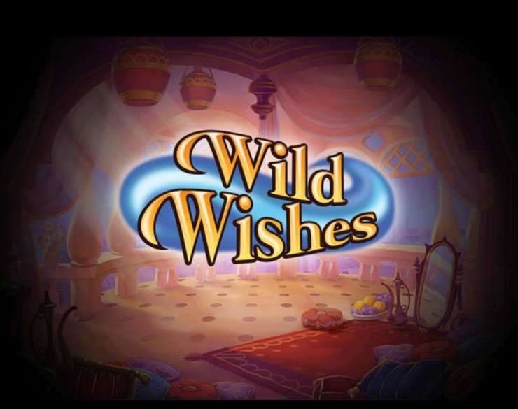 Wild Wishes Review