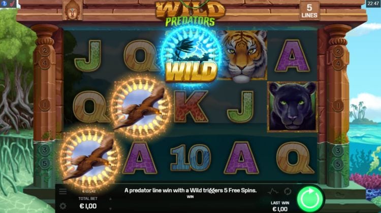 Wild Predators Slot Gameplay