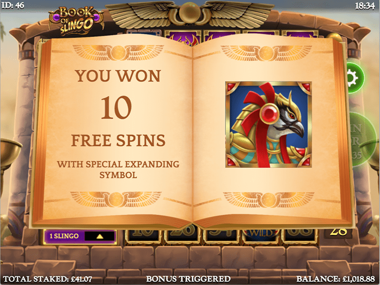 Book of Slingo Free Spins