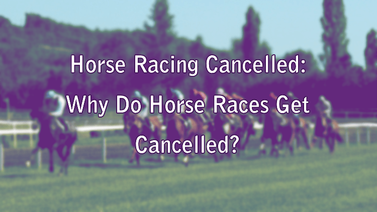 Horse Racing Cancelled: Why Do Horse Races Get Cancelled?