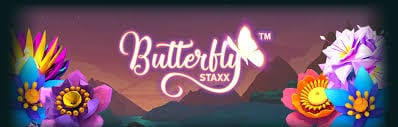 Butterfly Saxx logo