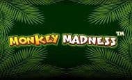 monkey madness