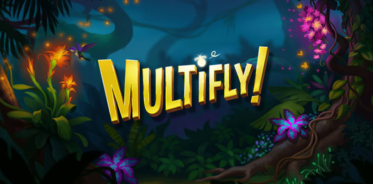 Multifly! Slot Wizard Slots