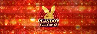 Playboy Fortunes Slot Wizard Slots