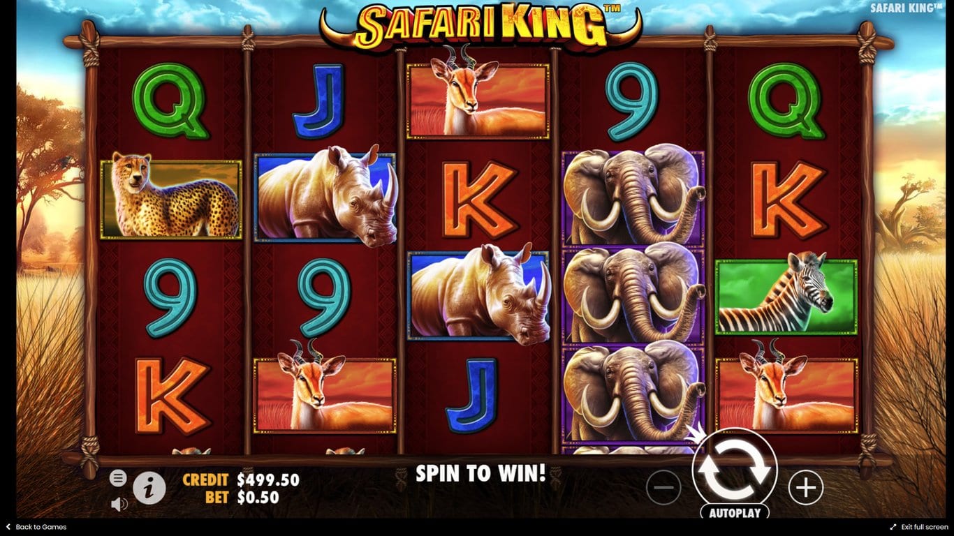 Safari King Slot Wizard Slots