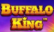 buffalo king