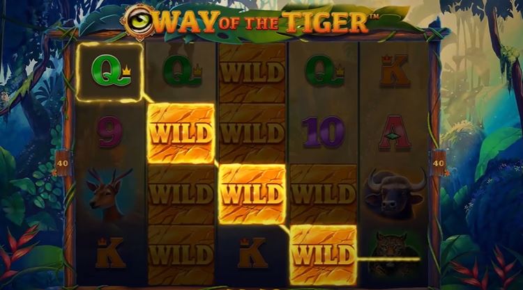 Way of the Tiger Slot Gameplay