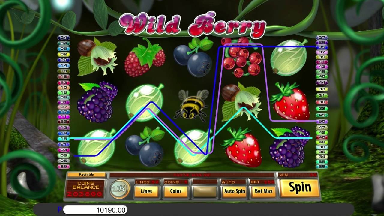 wild berry gameplay 2