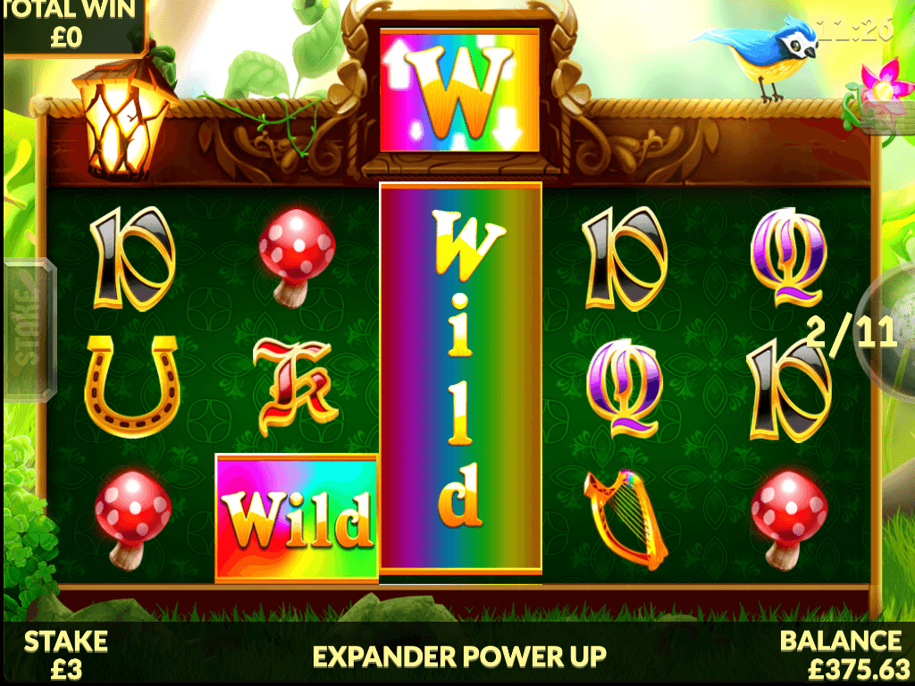 Wild Rover Free Slots